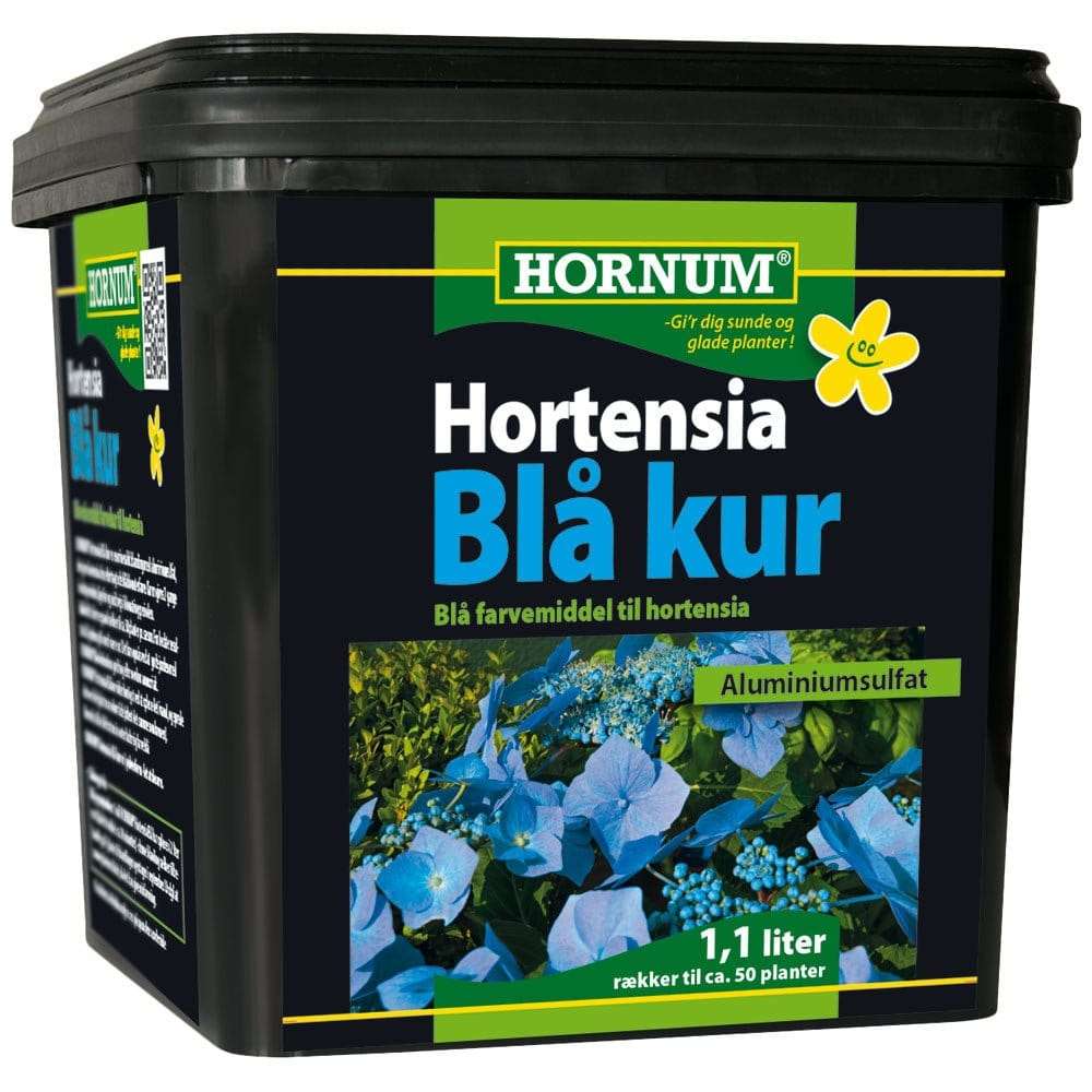 Hortensia Blåkur – 1,1 L